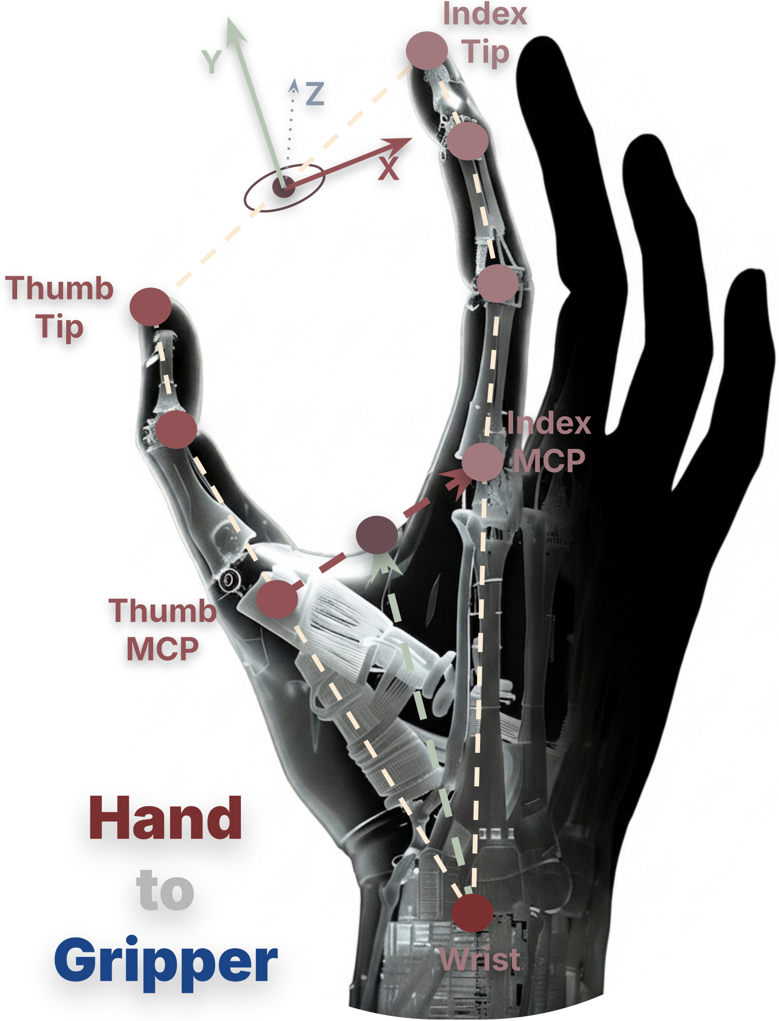 Hand-to-gripper mapping